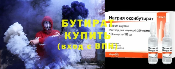 шишки Ельня