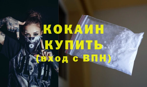 шишки Ельня