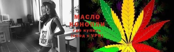 шишки Ельня