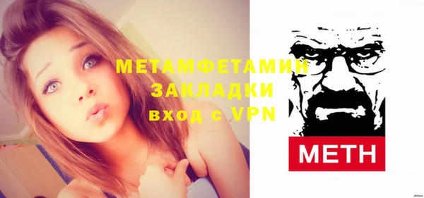 шишки Ельня