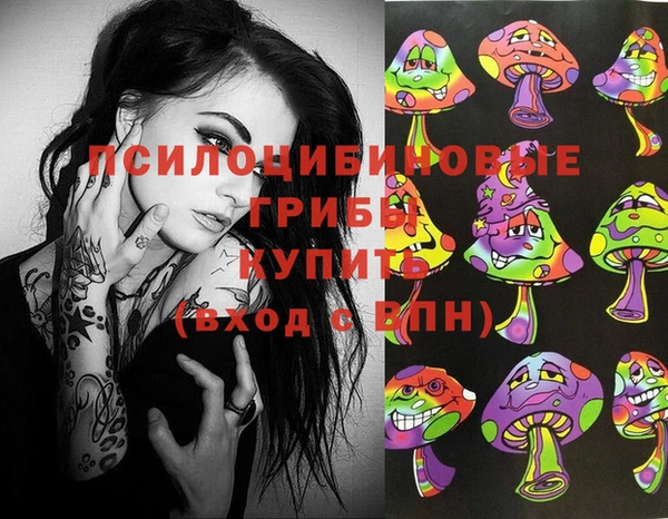 шишки Ельня