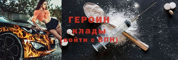 шишки Ельня