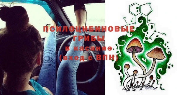 дурь Пестово