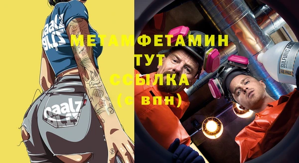 шишки Ельня