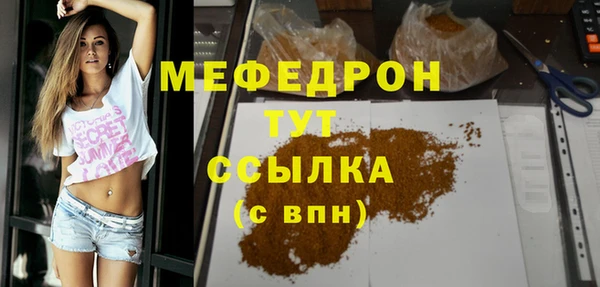 шишки Ельня