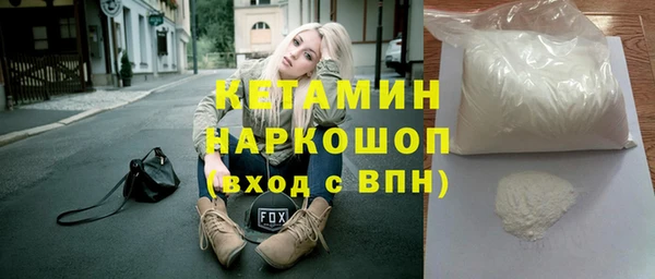 шишки Ельня