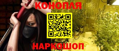 прущие крисы Гай