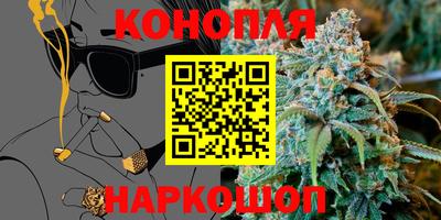 прущие крисы Гай