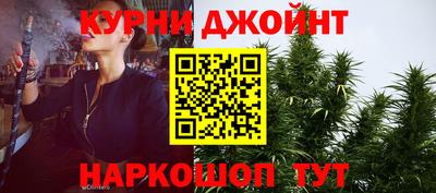 прущие крисы Гай