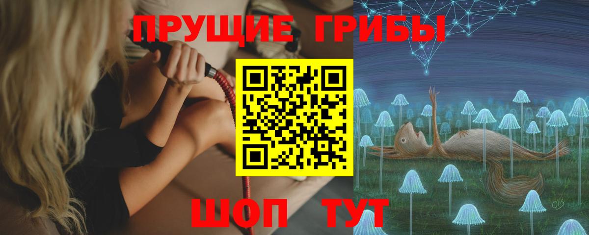 Псилоцибиновые грибы Cubensis  Псилоцибиновые грибы мухоморы  Вход с VPN  наркошоп  Свободный 